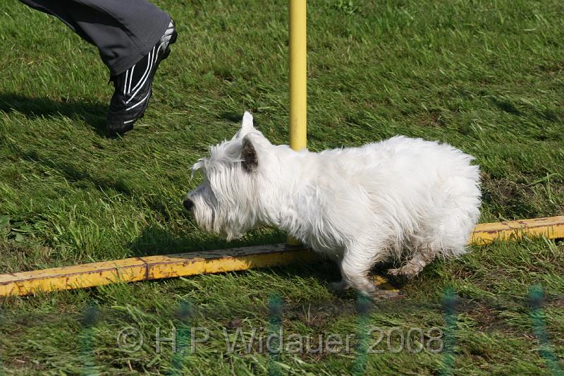 jubil.lusten. 197.jpg